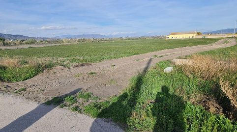 LorcaTerreno, imagen 2