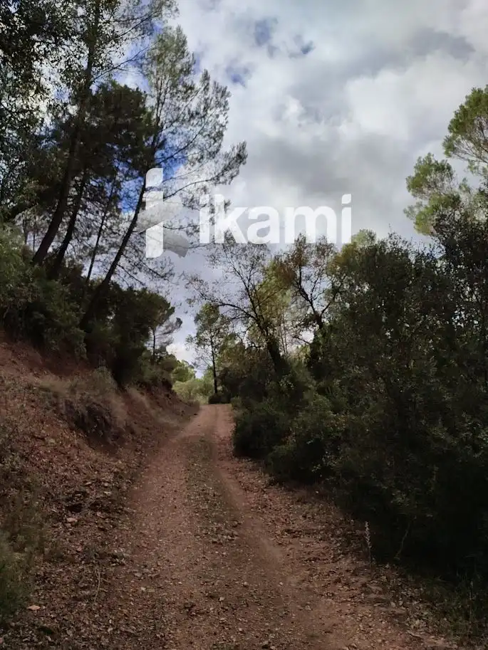 Residential for sale in Beas de Segura