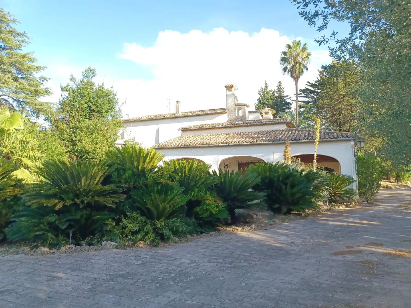 Exterior view of Houses for sale in Albaida  with Storage room and Swimming Pool
