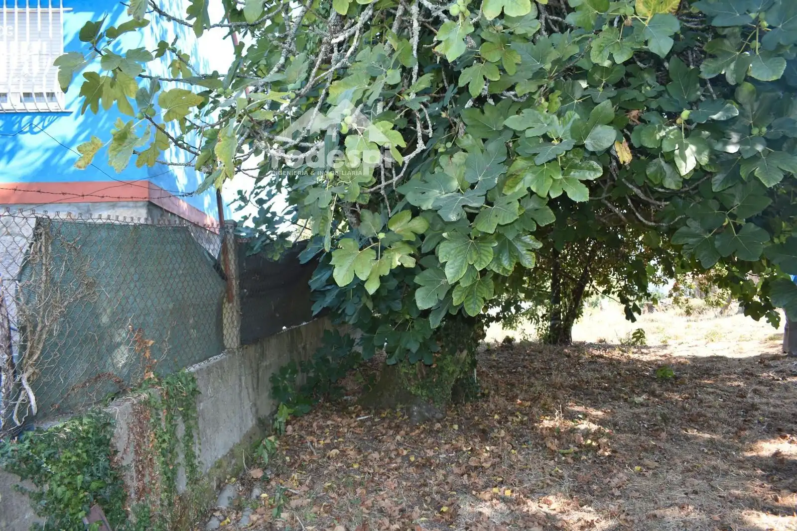 Terreny residencial en venda a Arbo, imagen 12