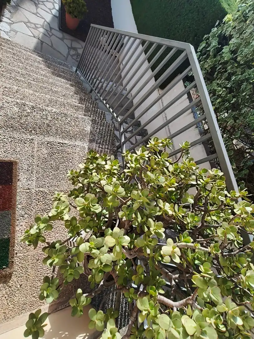 Adossat amb terrassa en venda a Olesa de Montserrat, imagen 41