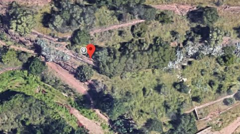 Venta de Finca Rústica en Polígono Poligono 36 Nº 35 Serra ValenciaValència, immagine 3