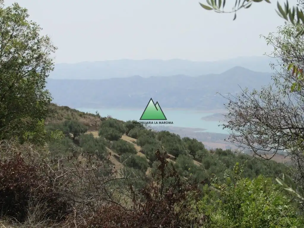 Finca rústica en venda en Periana amb Jardí privat