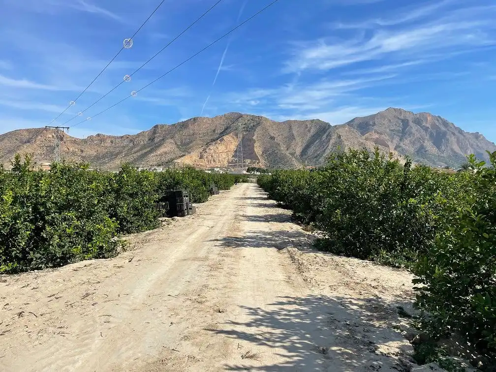 Vista exterior de Terreno en venta en Redován