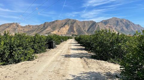 Foto 3 de Terreny en venda a Redován, Alicante