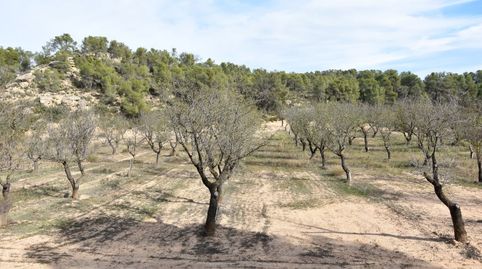 Finca rústica en Calaceite