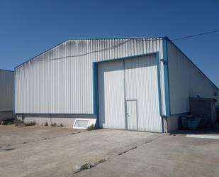 Exterior view of Industrial buildings for sale in Sant Mateu