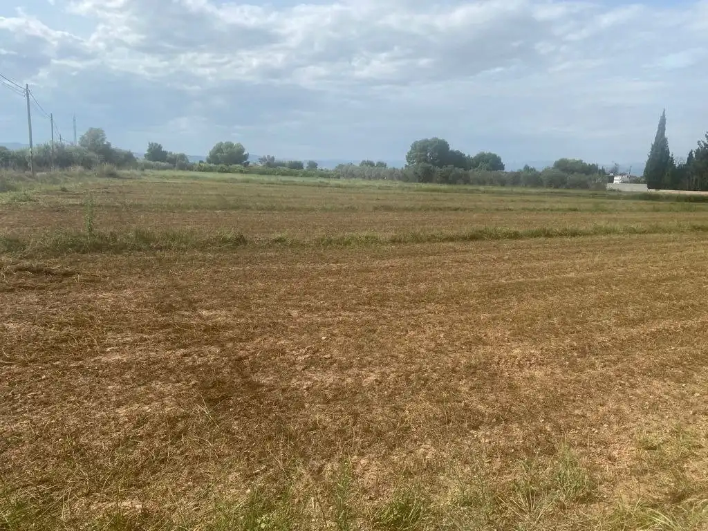 Terrain rustique à vendre à Santa Bárbara, imagen 5