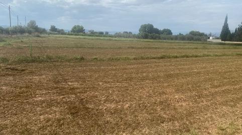 Foto 5 de Finca rústica en venda a Santa Bárbara, Llíria