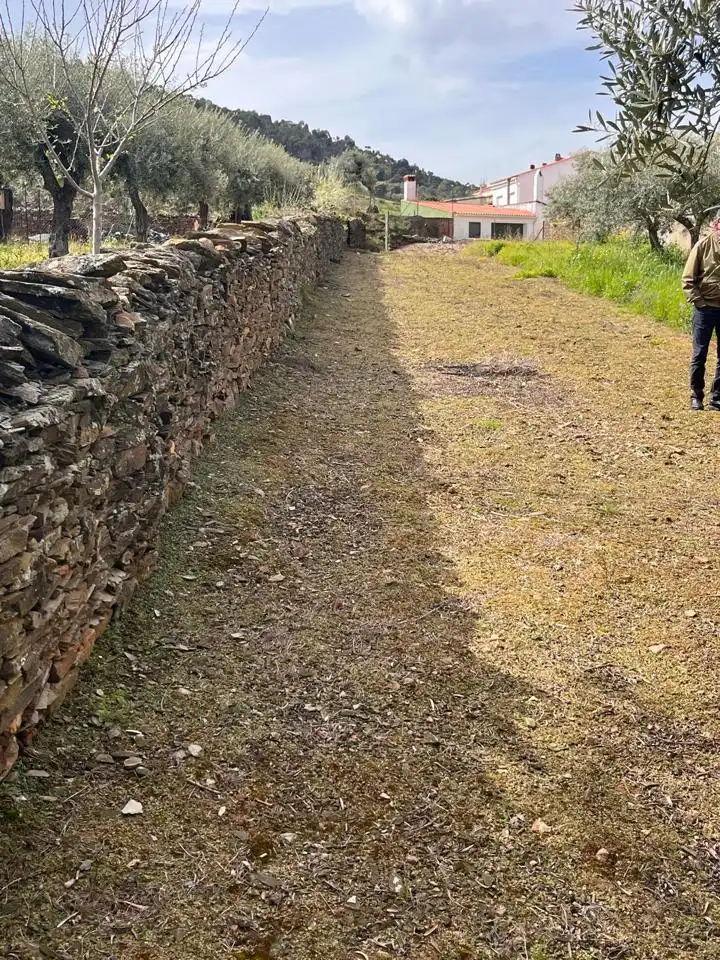 Terreni e lotti in vendita a Santa Marina