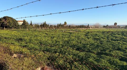 Photo 3 of Residential for sale in La Marina, Elche / Elx