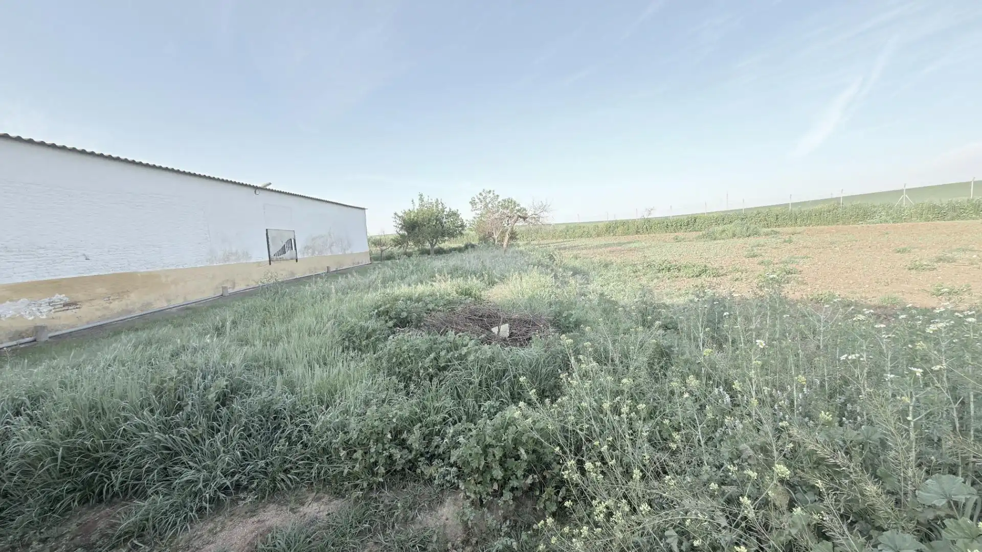 Finca rústica en venda en Huelva amb Aire condicionat, Terrassa i Piscina