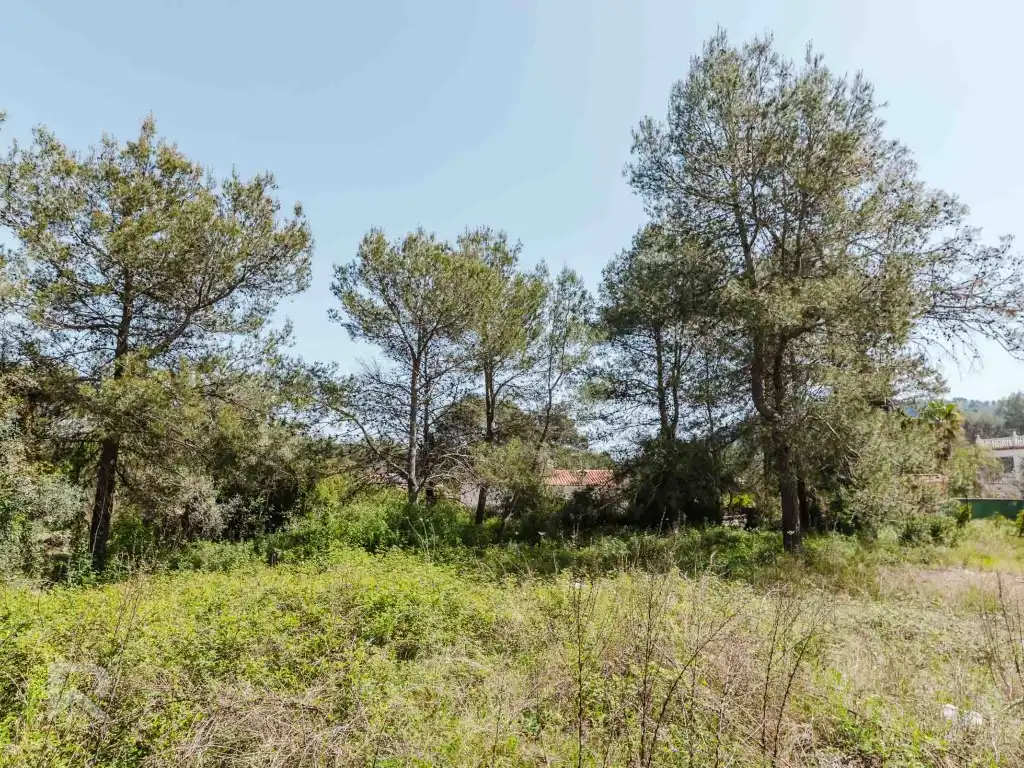 Casa o chalet en venta en Vilallonga / Villalonga