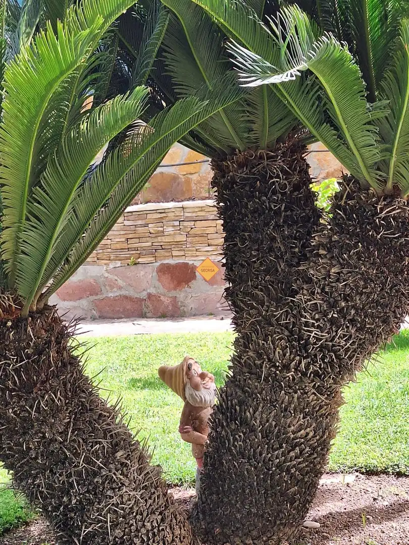 Jardí de Casa o xalet en venda en Paterna amb Aire condicionat, Calefacció i Jardí privat