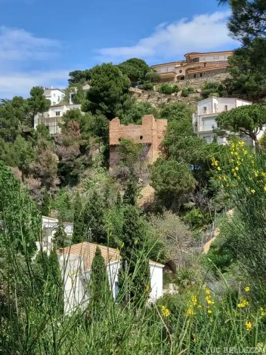 Wohnbaugrundstück zum Verkauf in Carrer Ramon Llull, imagen 4
