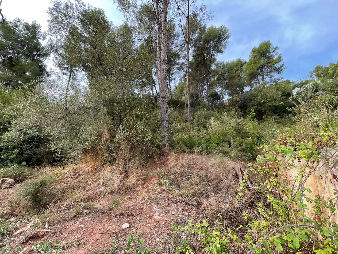 Wohnbaugrundstück zum Verkauf in Cervelló, imagen 14