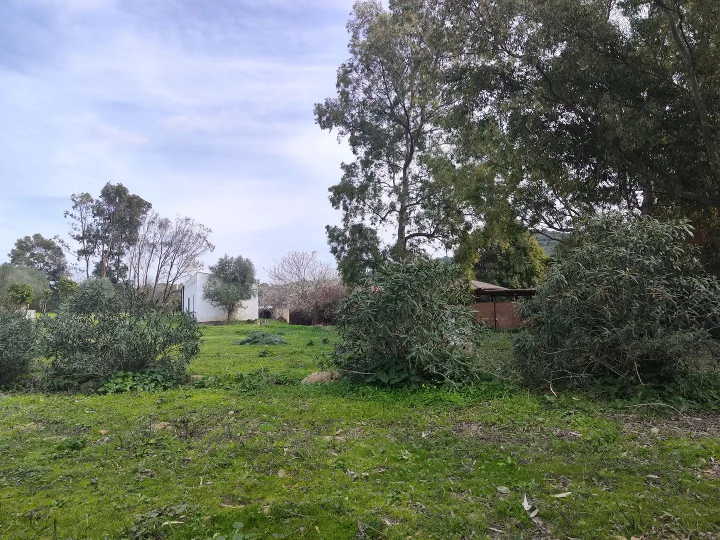 Maison rustique à vendre à San Martín del Tesorillo, imagen 26