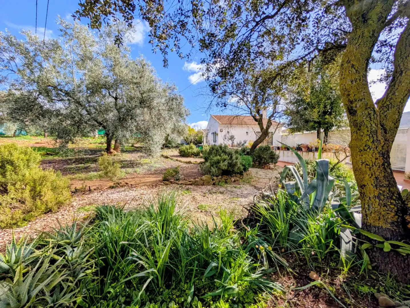 Jardín de Casa o chalet en venta en Loja con Terraza