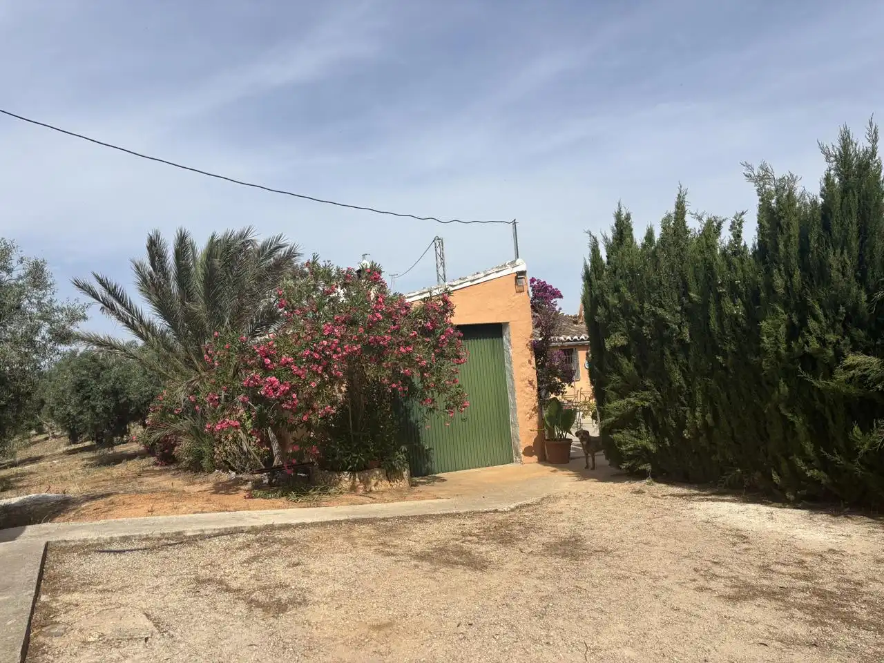 Finca rústica en venta en Diseminado Poligono 240, 29, Bobadilla - Bobadilla Estación - La Joya