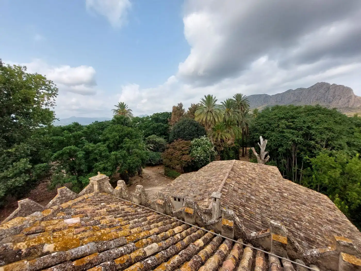 Garden of Country homes for sale in Ondara  with Private garden, Terrace and Swimming Pool