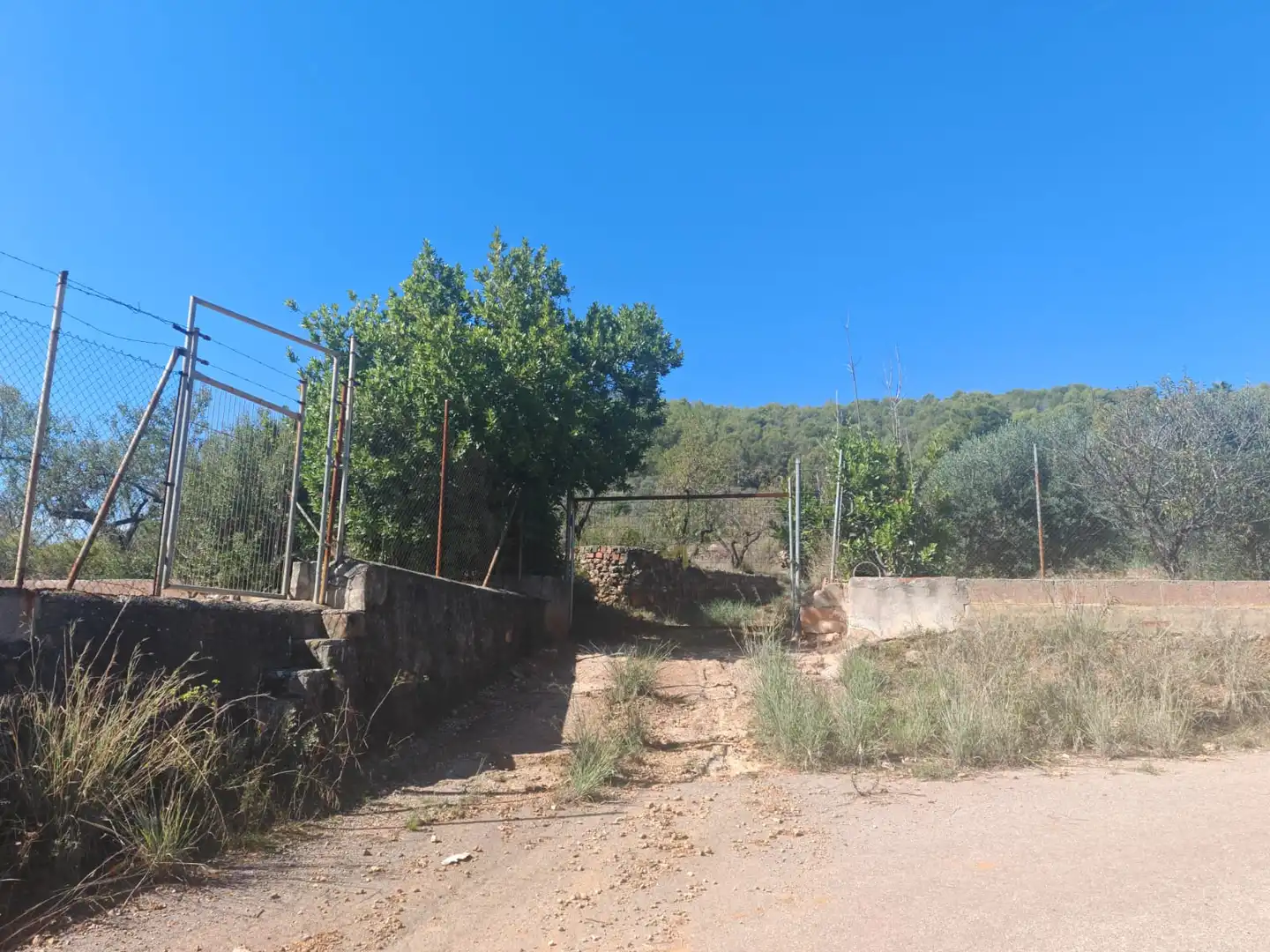 Rural land for sale in Onda, imagen 3