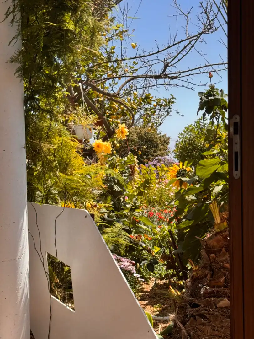 Jardín de Finca rústica en venta en Granadilla de Abona con Calefacción, Jardín privado y Parquet