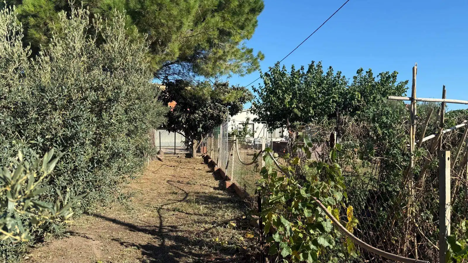 Residential land for sale in Viladamat, imagen 4
