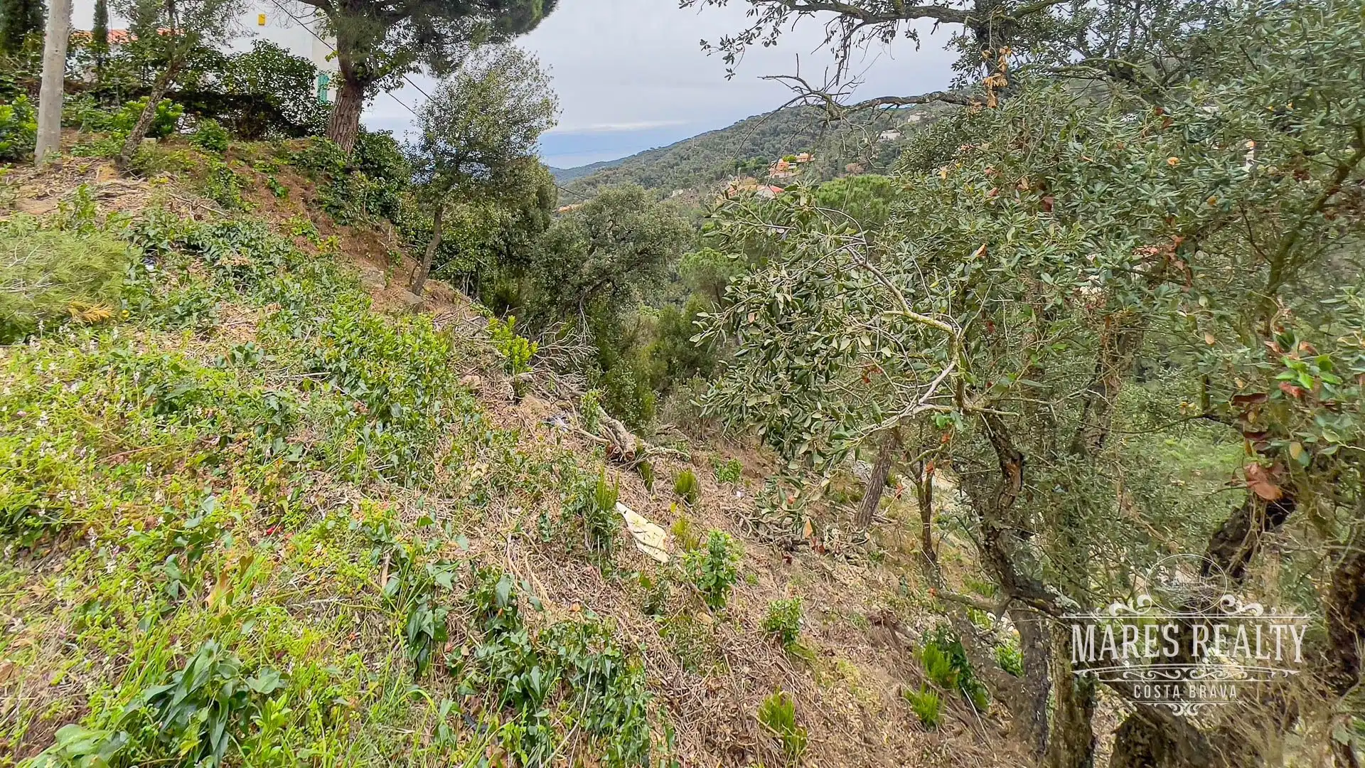 Terrenos y solares en venta en Serra Brava, imagen 8