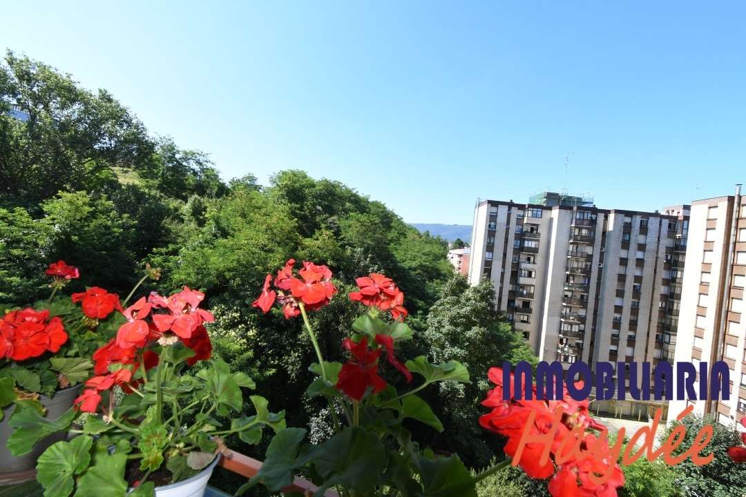 Wohnung zum verkauf in Artatza - Pinueta - Pinosolo