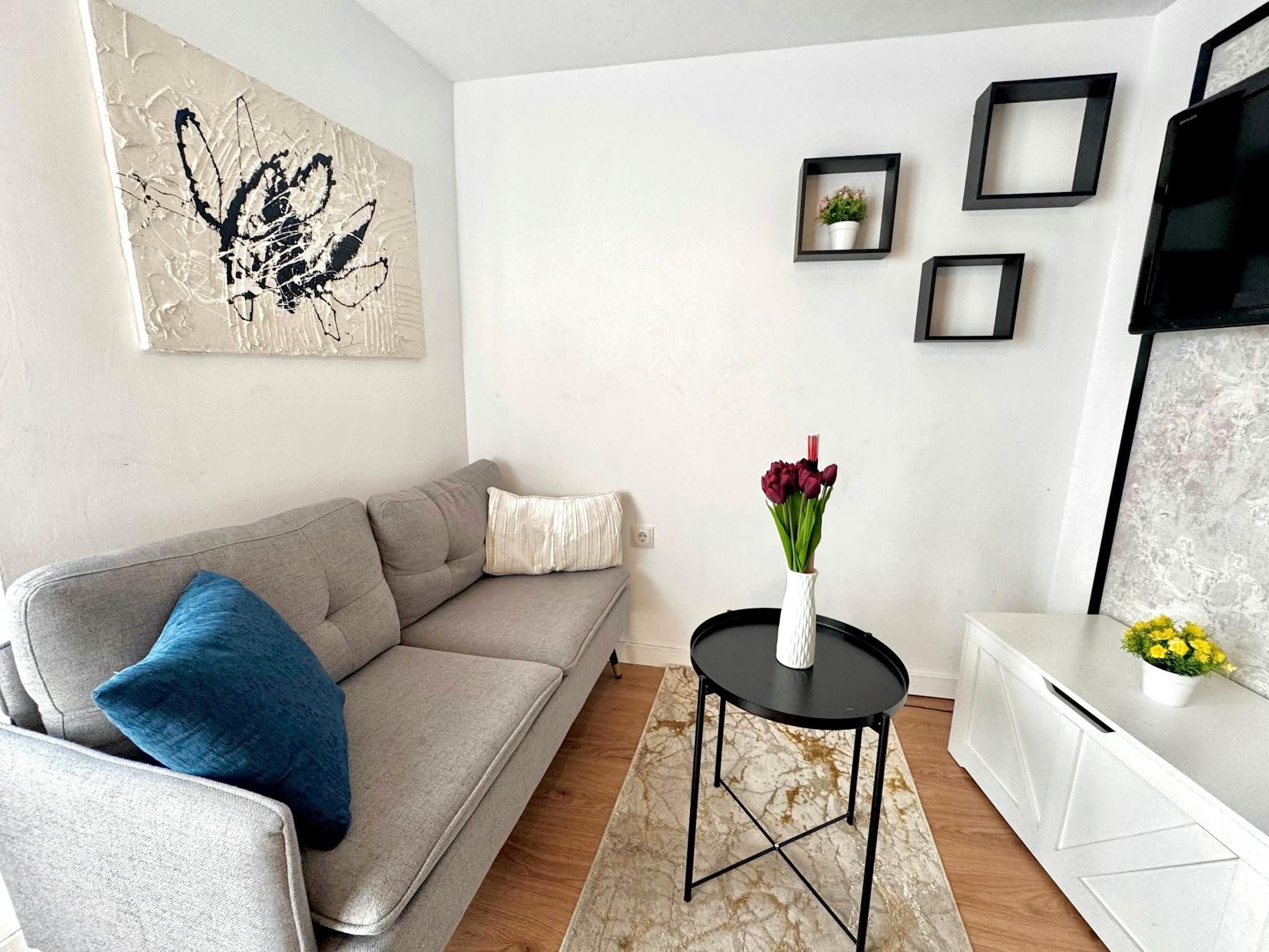 Sala d'estar de Pis de lloguer en  Madrid Capital amb Jardí privat, Rentadora i TV