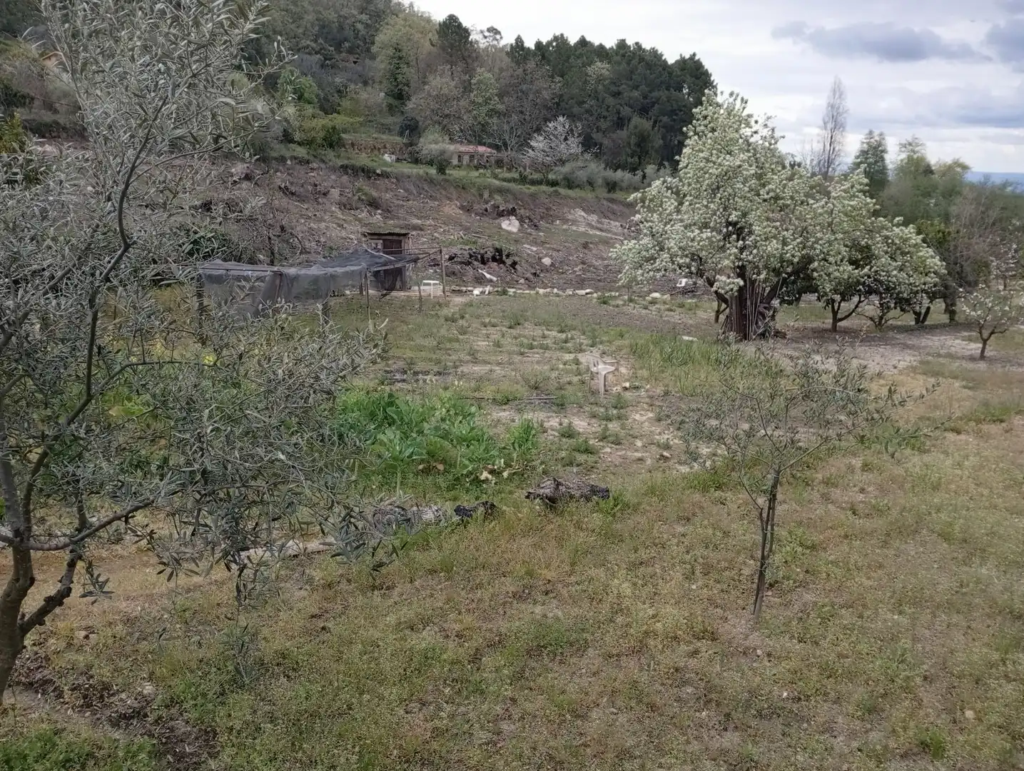 Terreni e lotti in vendita a Villanueva de la Vera, imagen 28