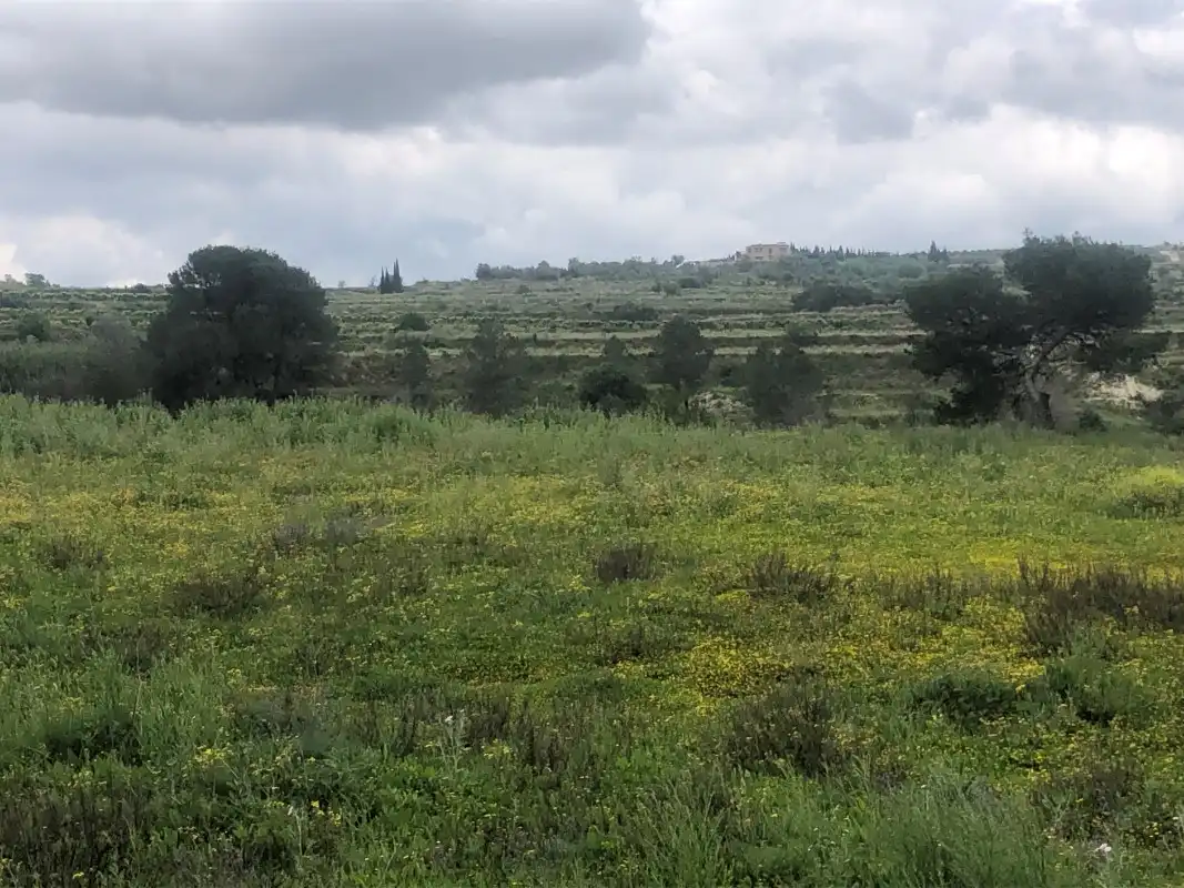 Terreno rústico en venta en Castelló de Rugat, imagen 25