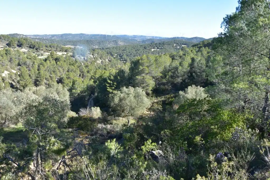 Finca rústica en venda en Arens de Lledó