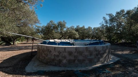Photo 4 of Country homes for sale in Carrer Sant Isidre, 38, La Galera , Tarragona
