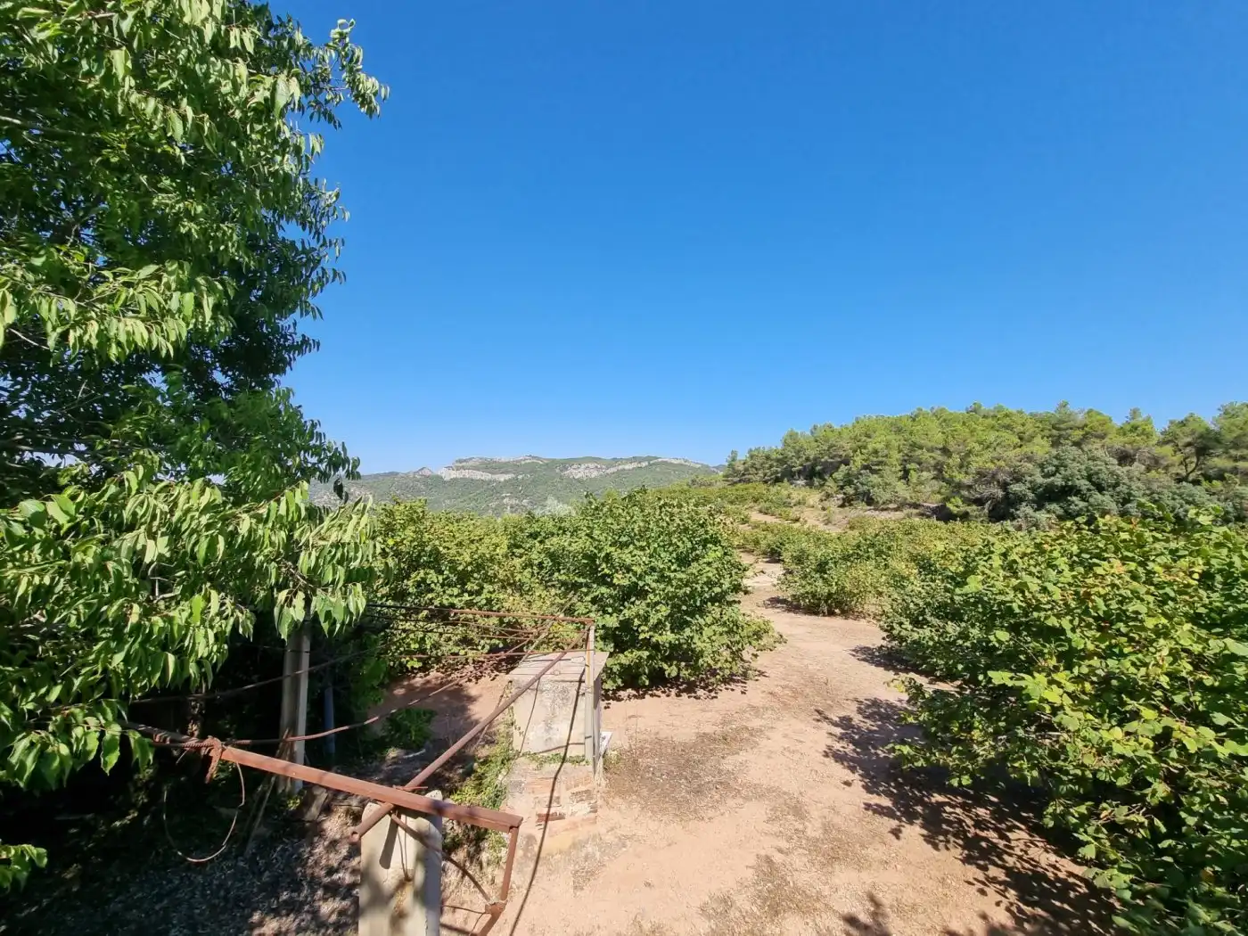Terrain rustique à vendre à Tivissa, imagen 18