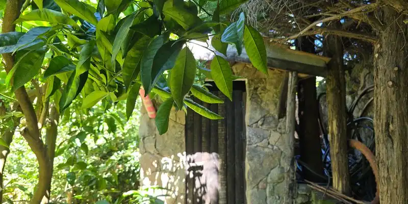 Casa o chalet en venta en Avenida Constitución , Arenas de San Pedro