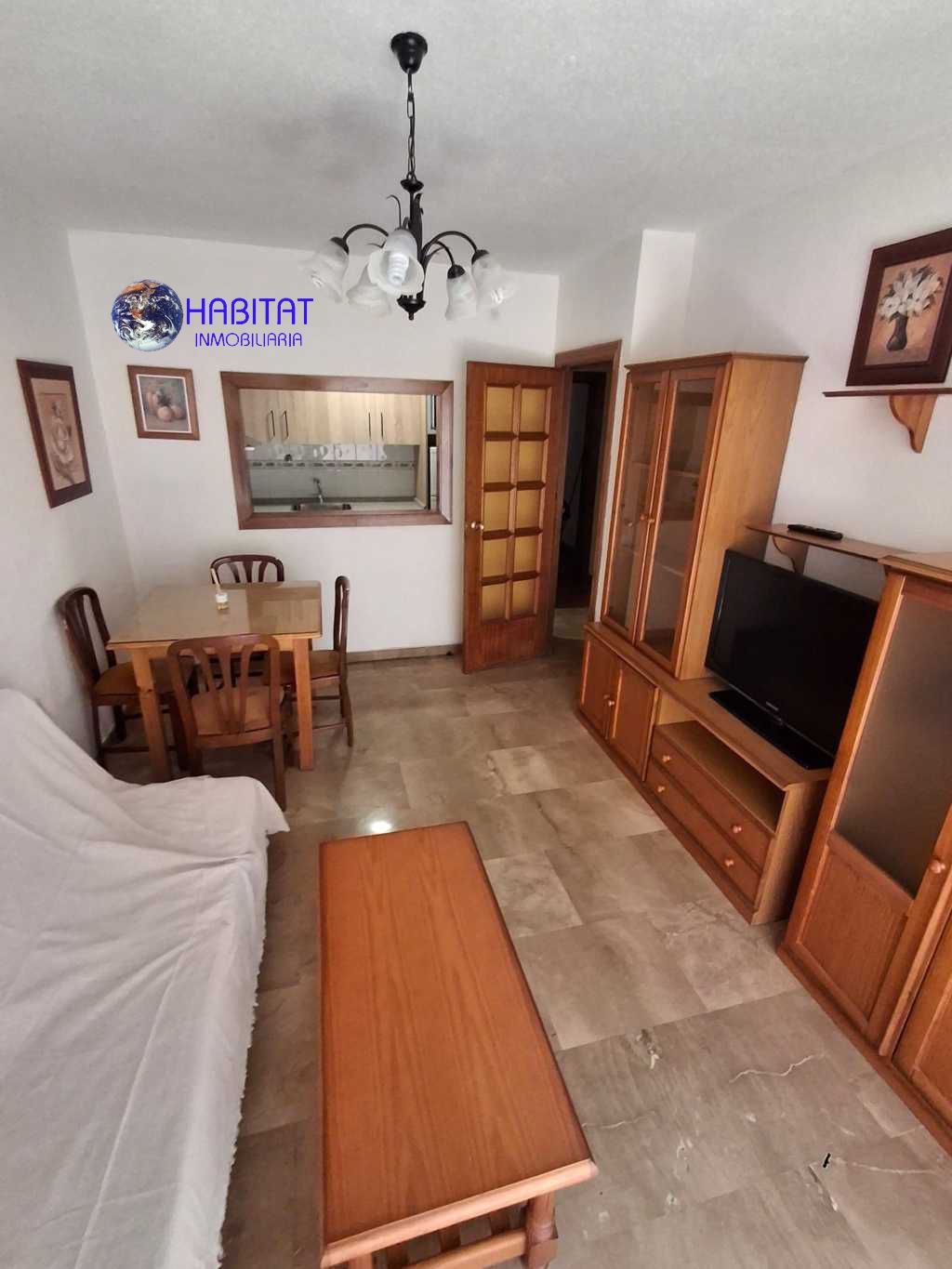 Living room of Flat to rent in  Granada Capital  with Heating, Terrace and Furnished