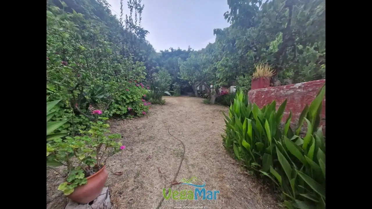 Finca rústica en venda en Jete amb Jardí privat, Terrassa i Piscina