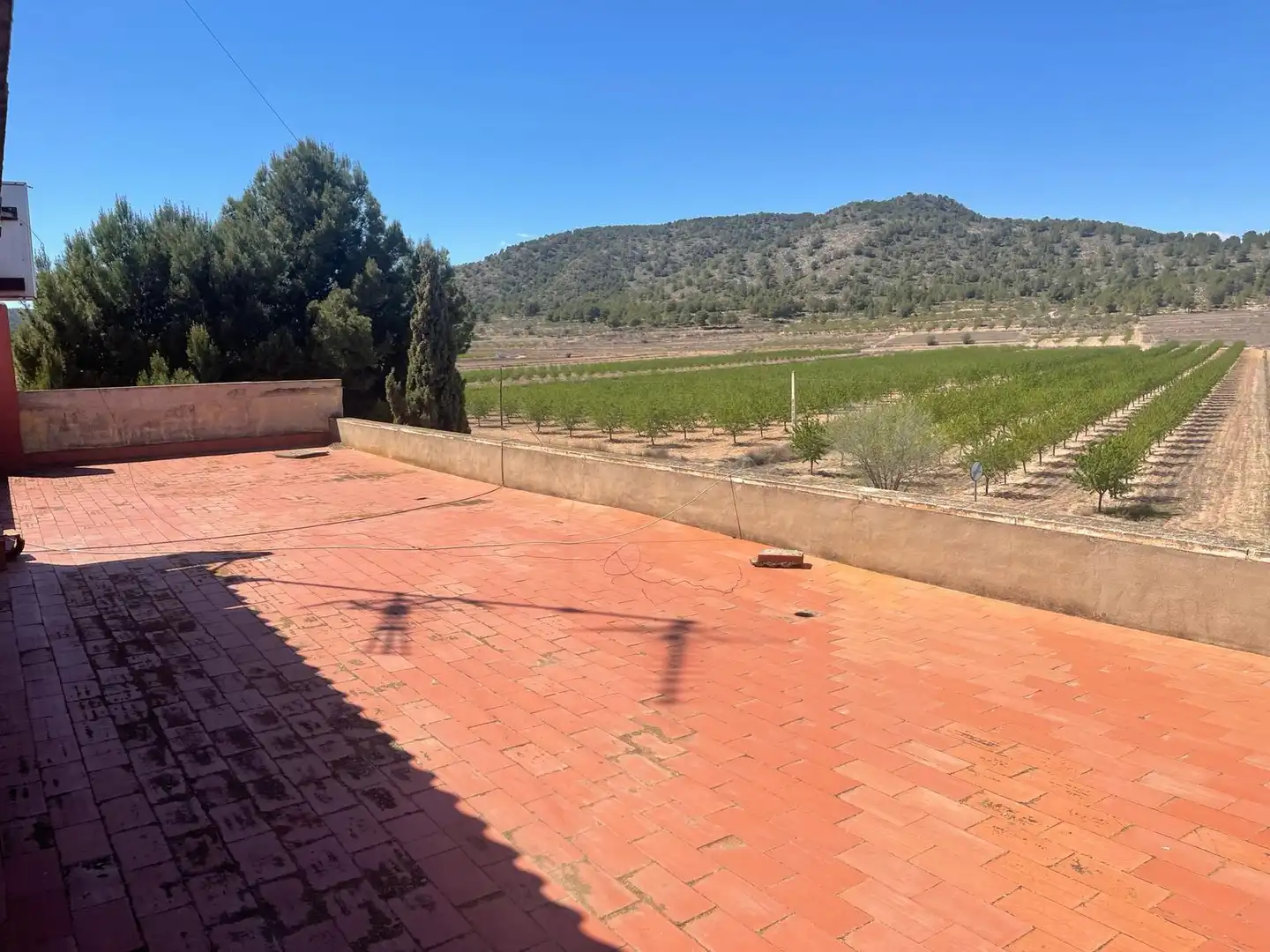 Edifici en venda en Monóvar  / Monòver