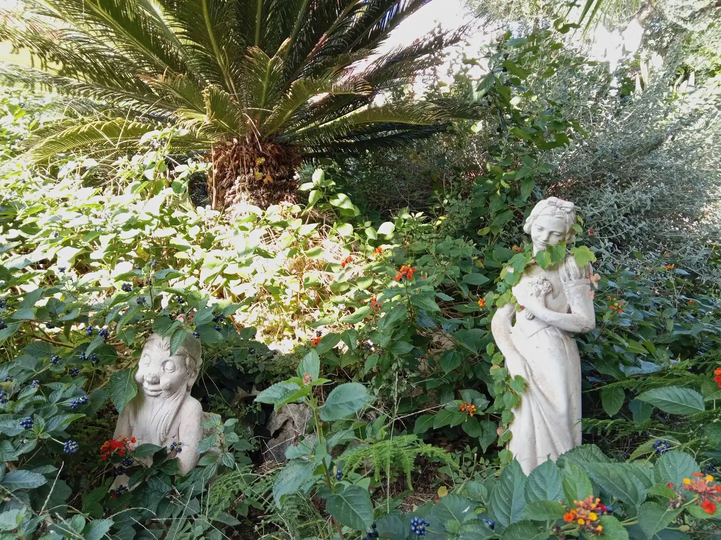 Haus mit Pool zum Verkauf in Santa Susanna, imagen 35