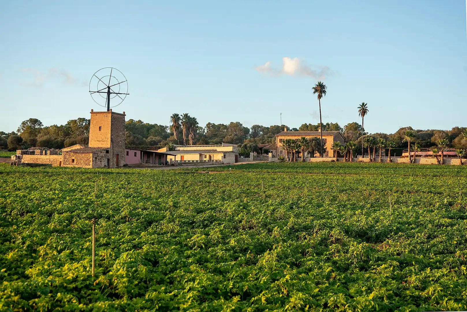 Vista exterior de Finca rústica en venta en  Palma de Mallorca con Calefacción, Jardín privado y Terraza