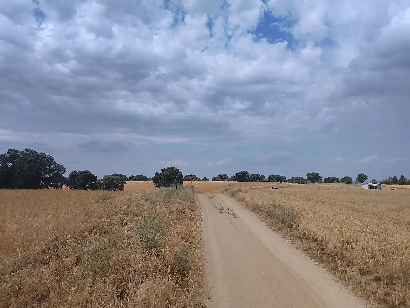 Terreno rustico in vendita a Quijorna, imagen 8