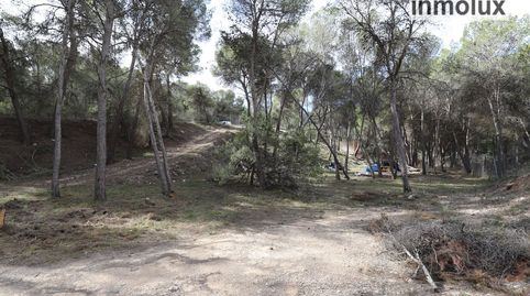 Foto 5 de Terreno en venta en Urbanización Finca Terol, Tibi, Alicante
