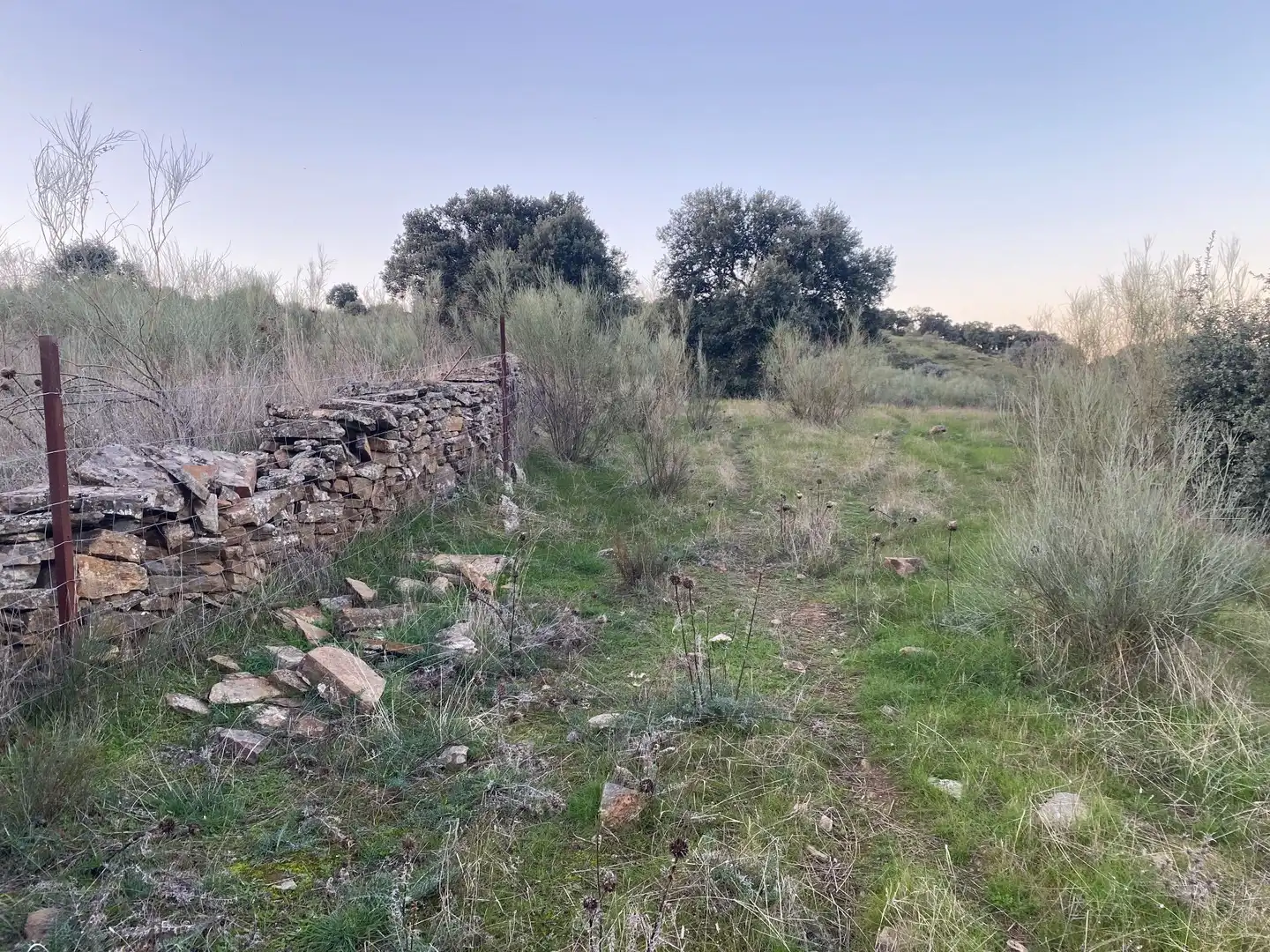 Terreni e lotti in vendita a Villar del Pedroso, imagen 17