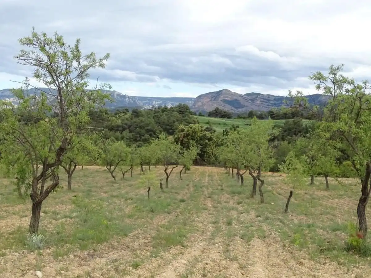 Finca rústica en venta en Cretas