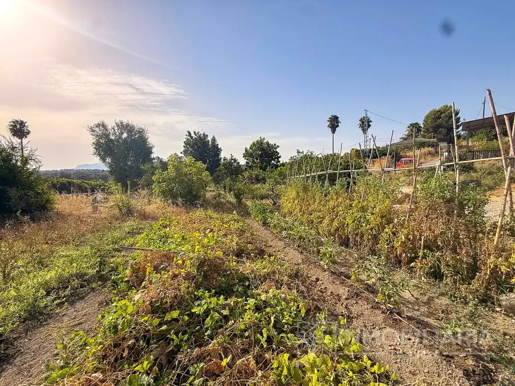 Maison rustique à vendre à Partida Huertas Viejas, imagen 20
