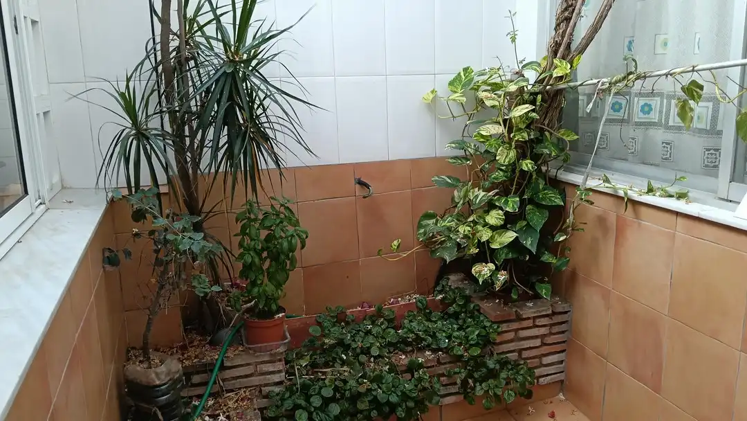 Adosado con terraza en venta en Carrer l'Alqueria 23, imagen 65