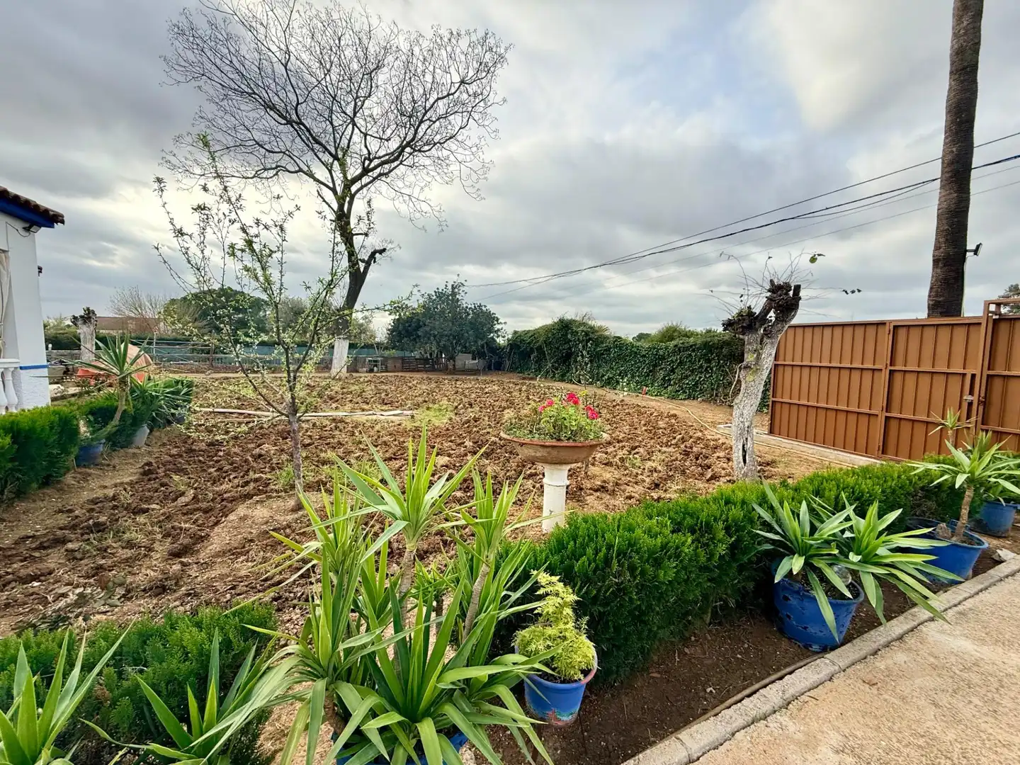 Casa o chalet en venta en Carmona con Aire acondicionado, Jardín privado y Trastero