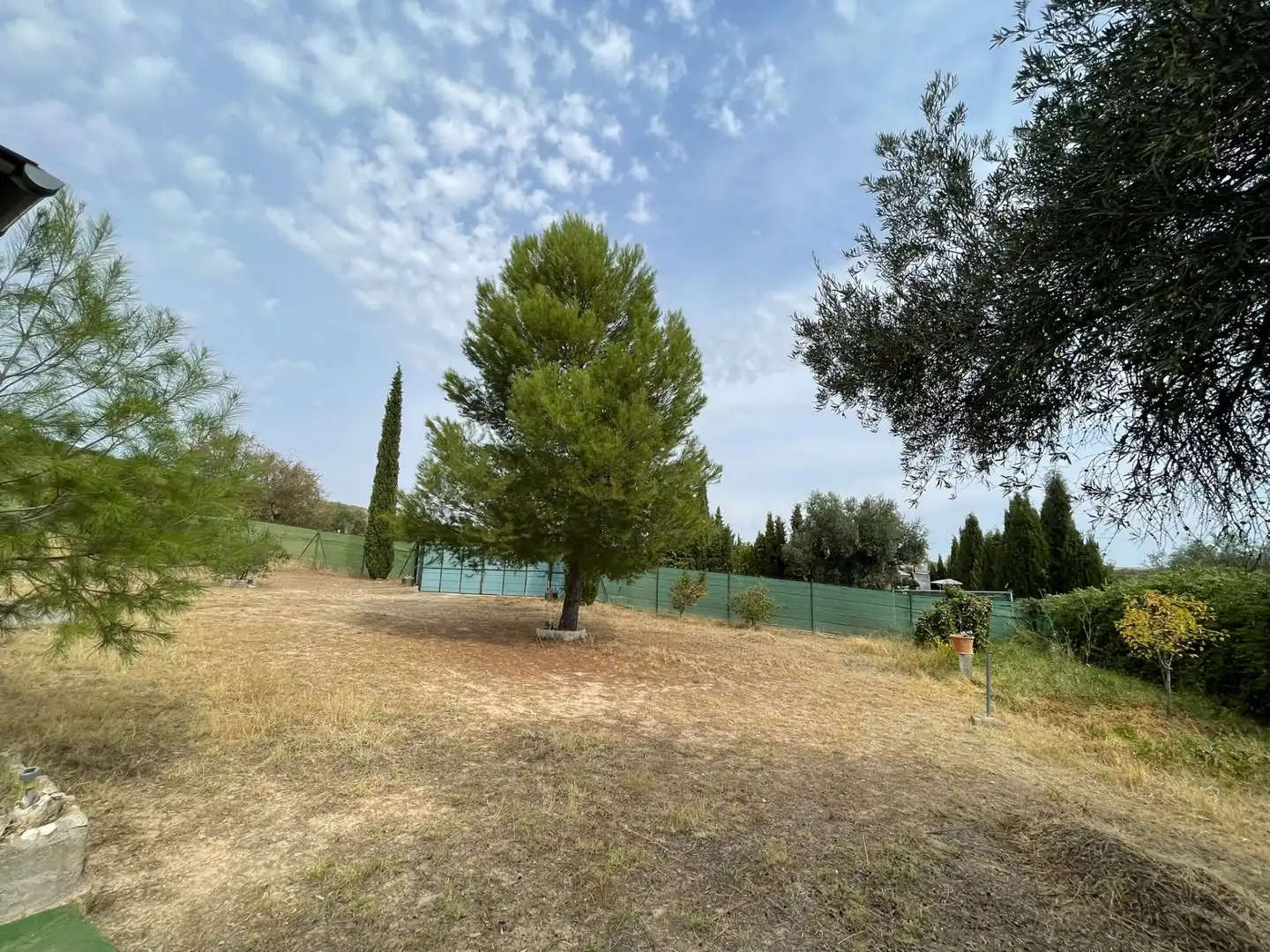 Terreny rústic en venda a M-313 6, imagen 32