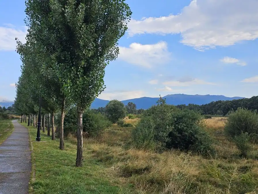 Xalet amb jardí en venda a Calle Lepanto 22, imagen 39